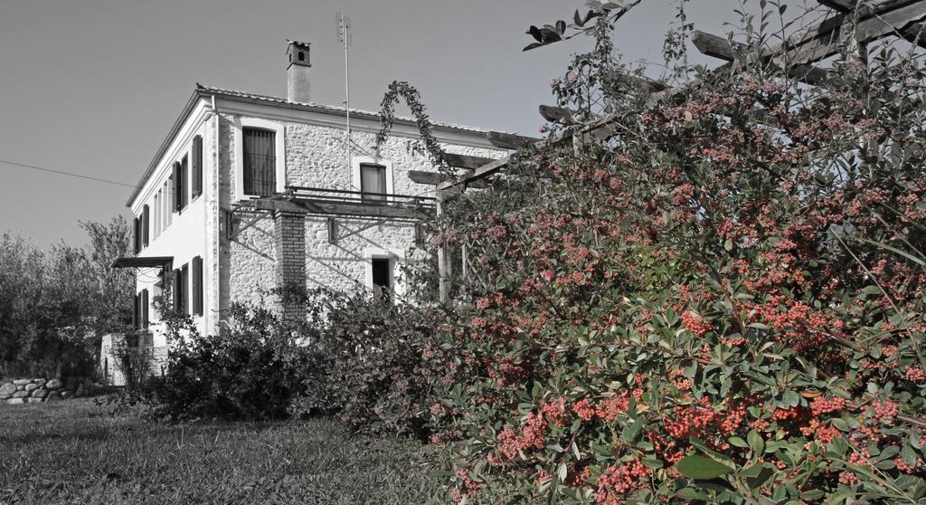 Kokkymelon Otel Toxotes Xanthis Dış mekan fotoğraf
